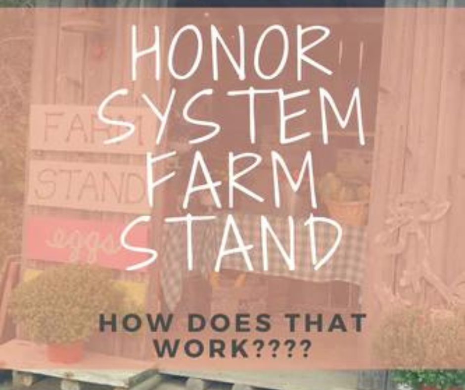 Honor System Farm Stand: How does that work??