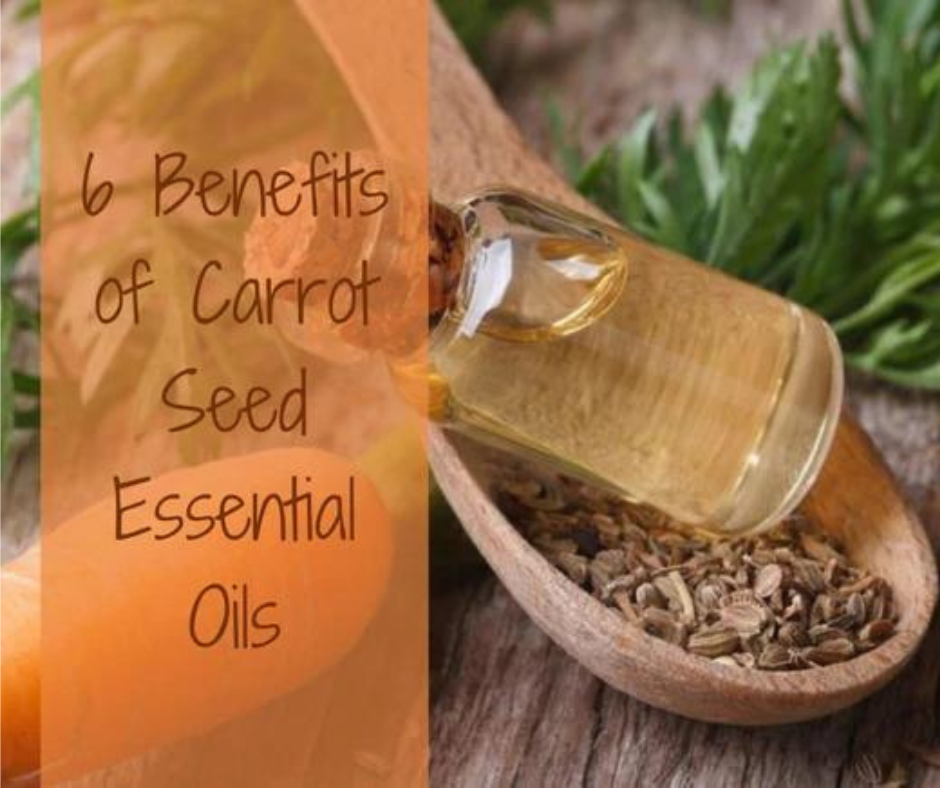 6 Benefits of Carrot Seed Essential Oils