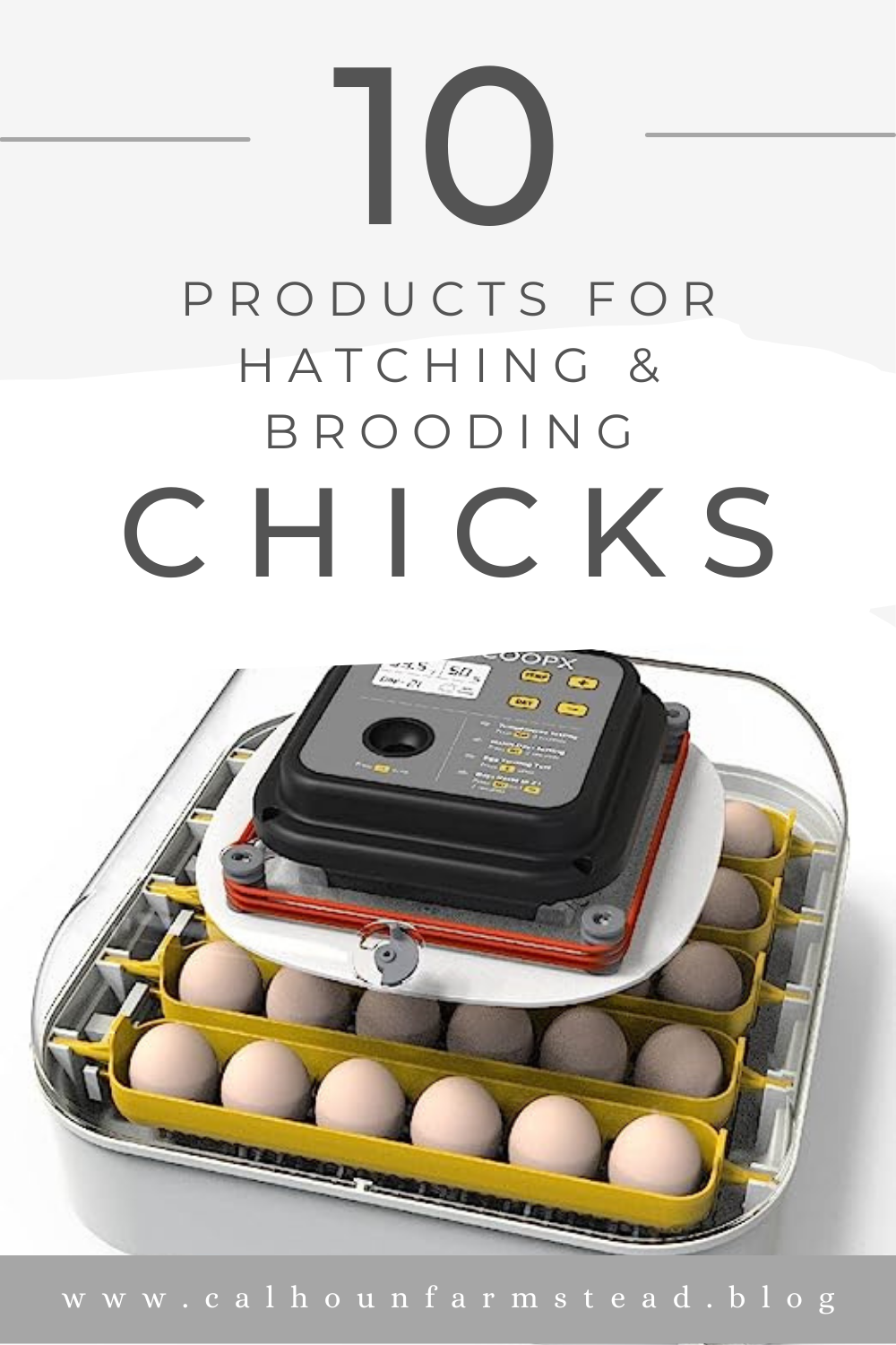 10 Products for Hatching and Brooding Chicks!