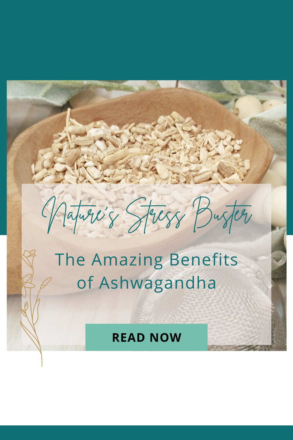 Nature’s Stress Buster: The Amazing Benefits of Ashwagandha