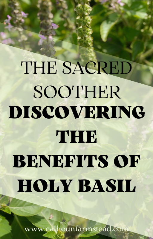 The Sacred Soother: Discovering the Benefits of Holy Basil