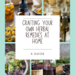 Herbal remedies made at home. DIY herbal salves