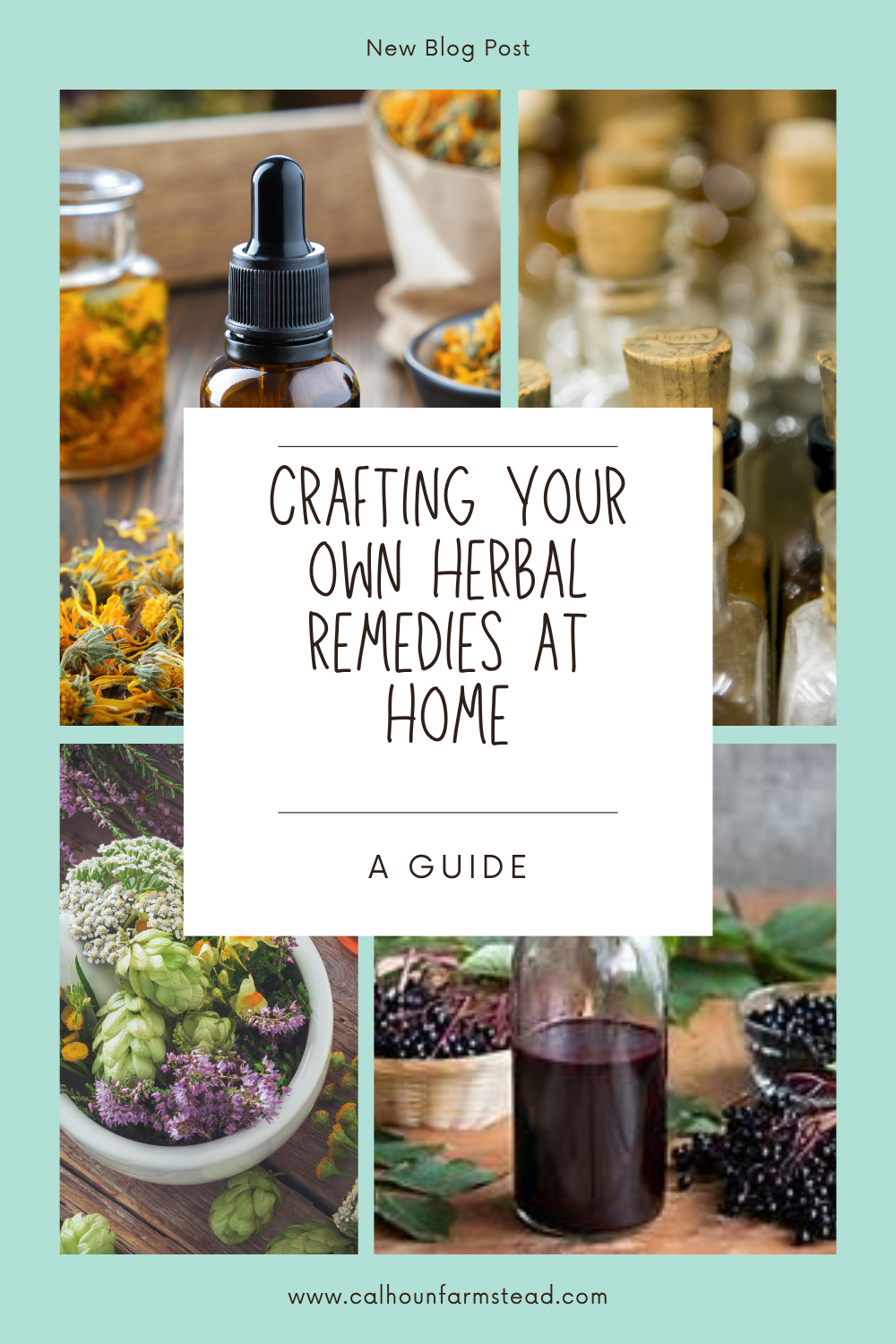 Crafting Your Own Herbal Remedies