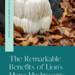 Lion's mane mushroom for brain function