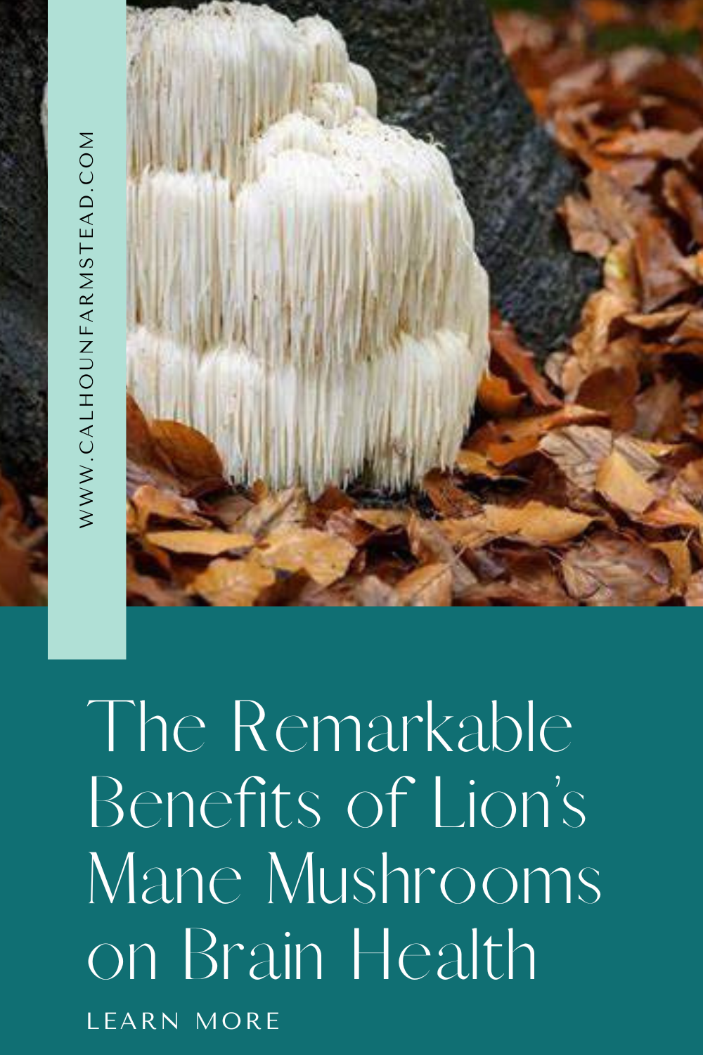 The Remarkable Benefits of Lion’s Mane Mushroom for Brain Health