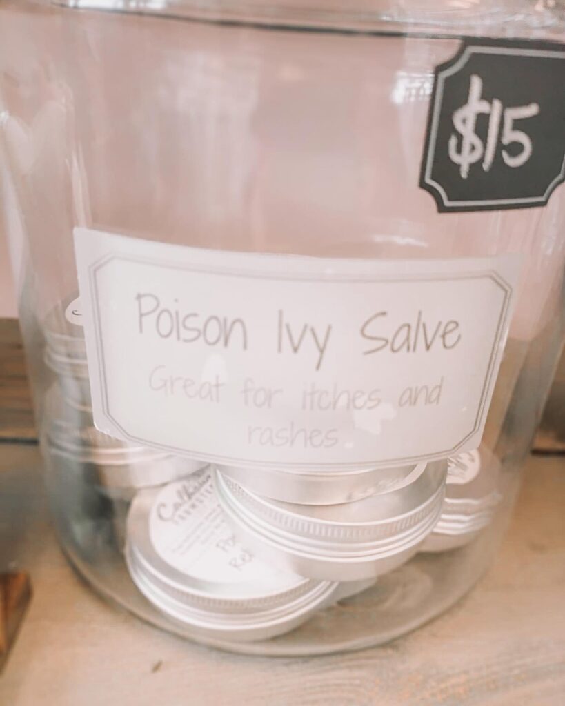 jewelweed salve for treating poison ivy rash