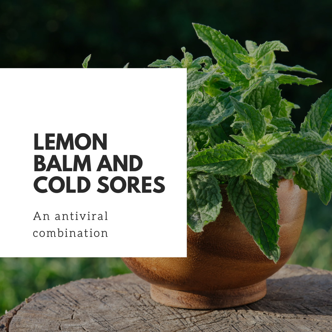 Lemon Balm and Cold Sores: A Winning Combination