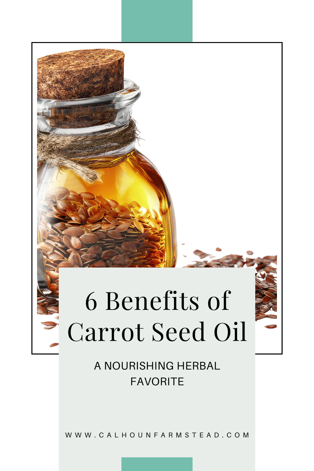 🥕 6 Benefits of Carrot Seed Essential Oil for Skin & Wellness