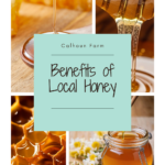 Benefits and uses for local honey. Local honey for sale in DuBois PA