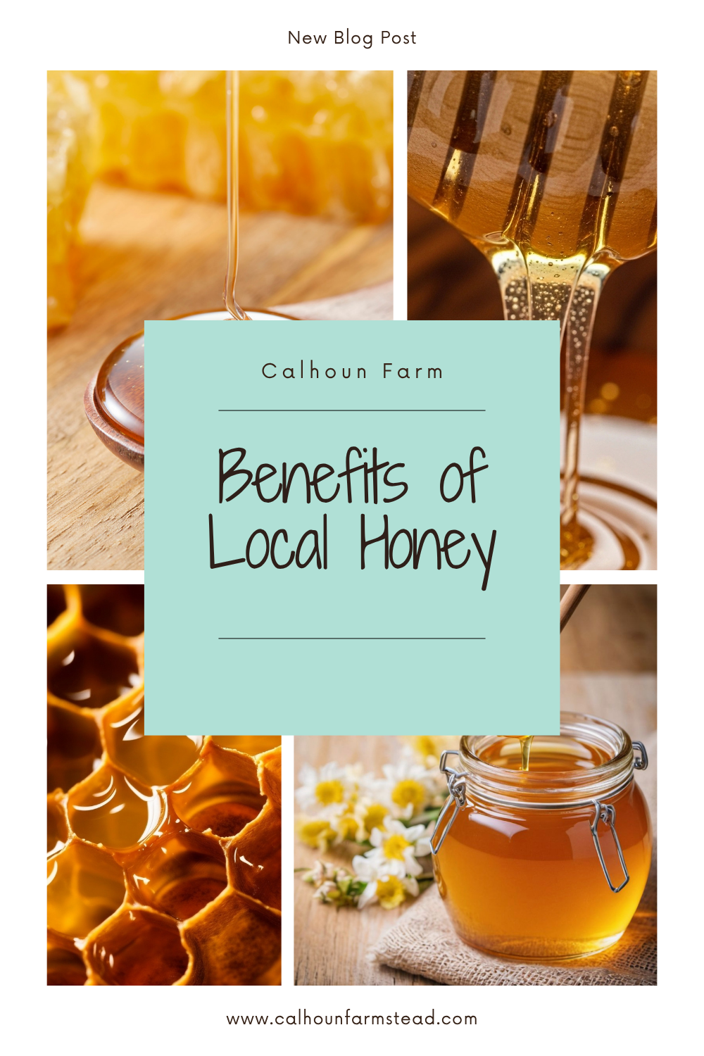 Local Honey: Benefits & Uses