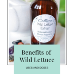 Benefits of wild lettuce - dosage of wild lettuce - DuBois Pa