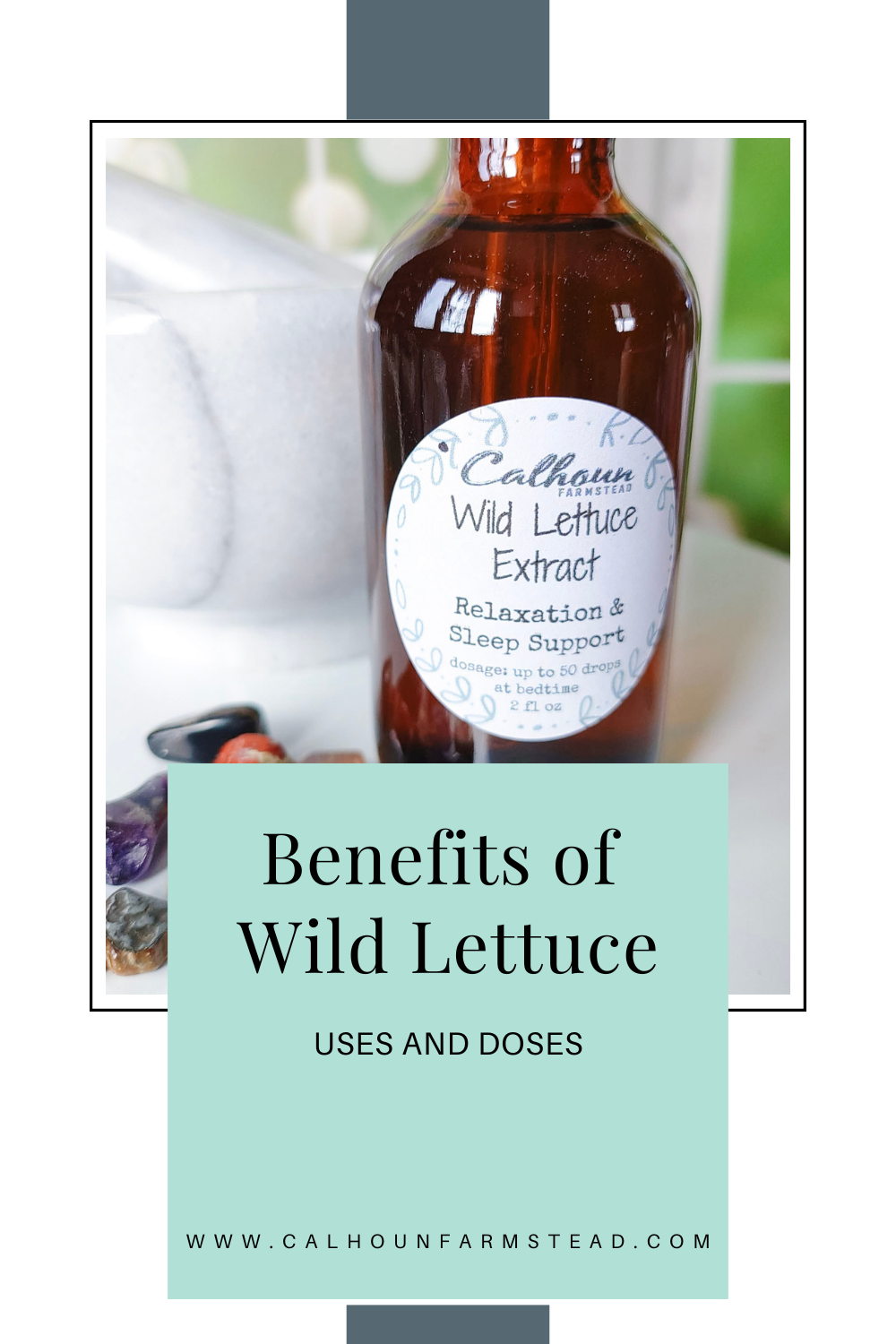 Wild Lettuce for Pain: Benefits, Uses & Safe Dosage Guide