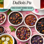 Herbal store in DuBois Pa. Herbs in Clearfield County Pennsylvania