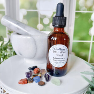 wild lettuce for pain. dosage for wild lettuce. wild lettuce tea