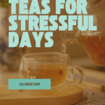 Herbal Teas for Stressful Days