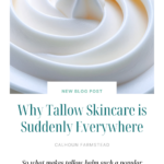 Why Tallow Skincare is Suddenly Everywhere. Benefits of Tallow for dry skin