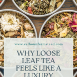 Why Loose Leaf Tea Feels Like a Luxury